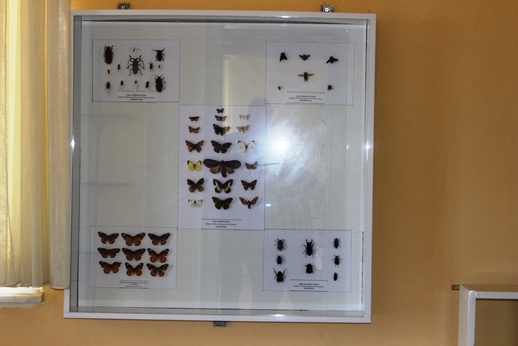 entomoloji odası